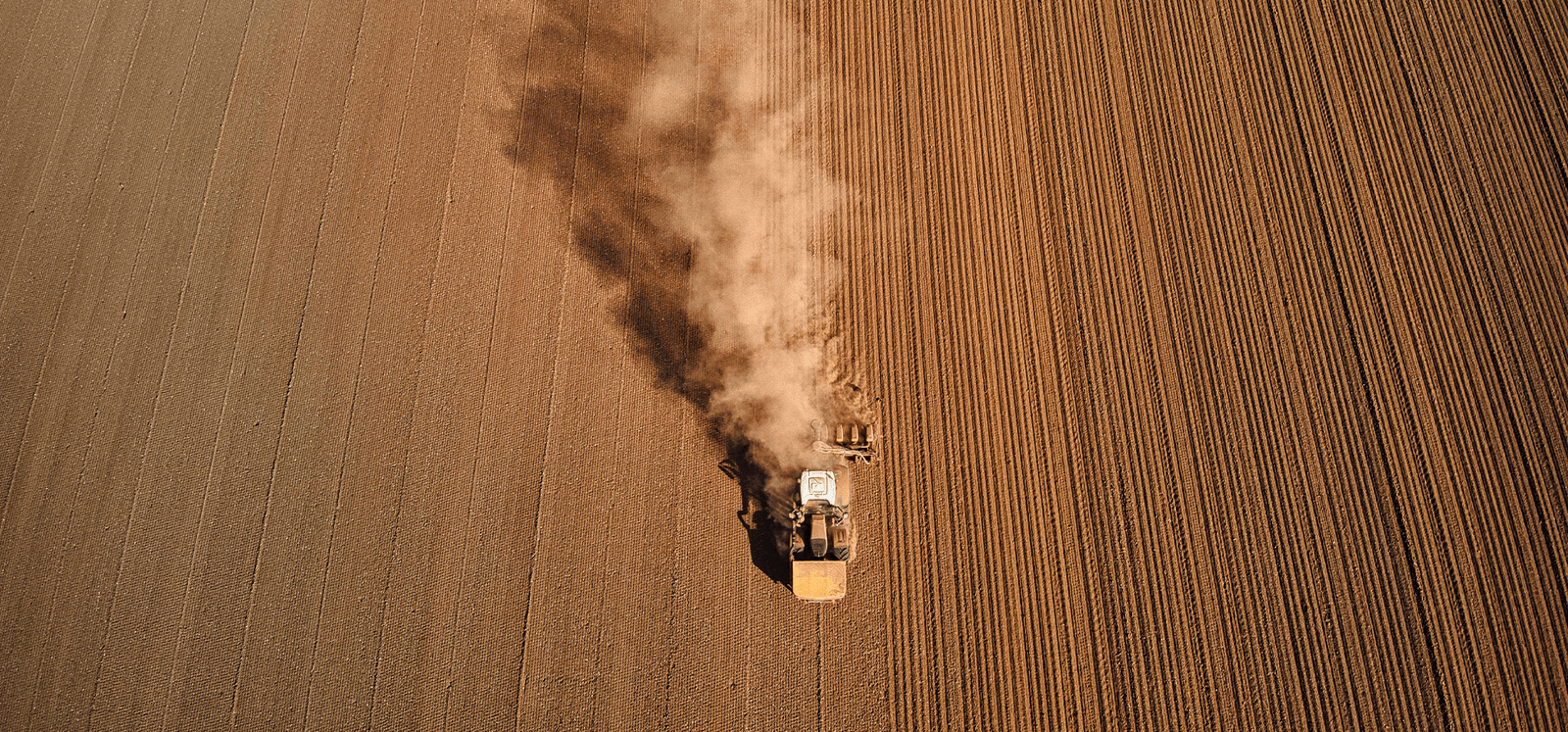 Grain Cloud skördetröska fält