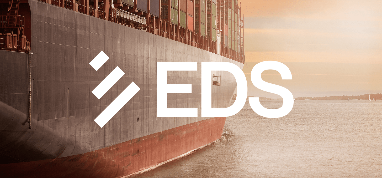 EDS logo